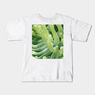 Shrimp on a Green Sea Anemone Kids T-Shirt